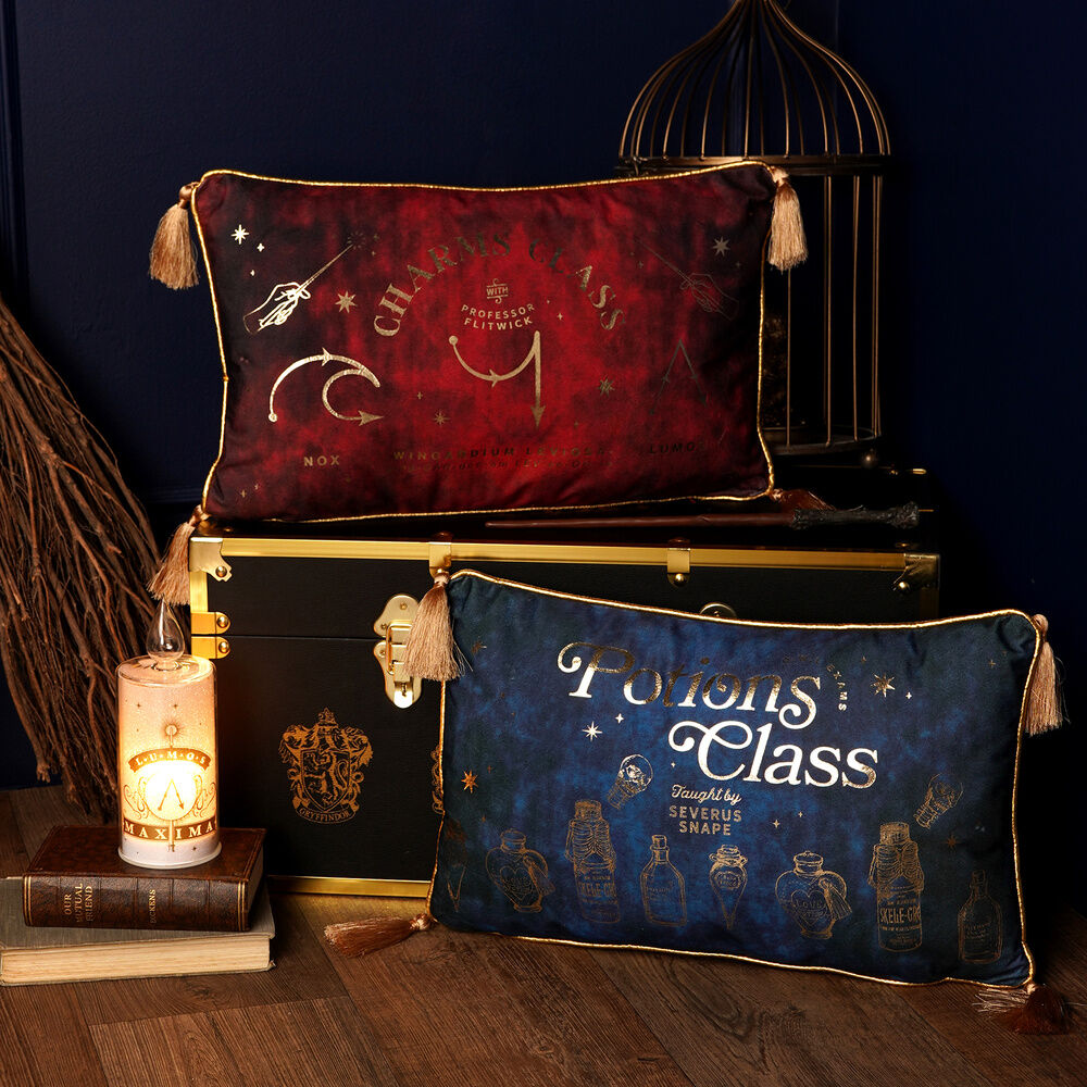 Cojin velvet Potions Class Harry Potter