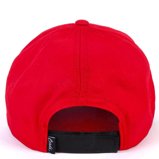 Gorra Patrulla Canina Paw Patrol