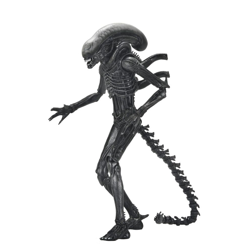 Figura Ultimate Xenomorph Alien: Romulus 18cm