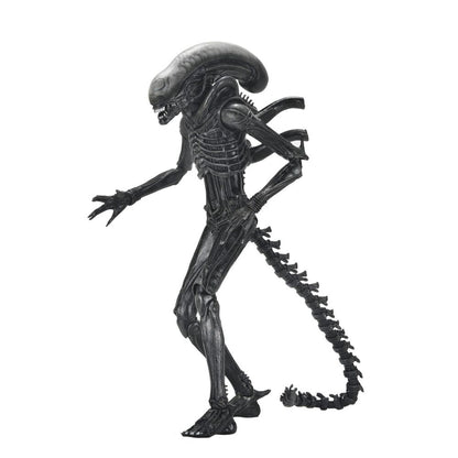 Figura Ultimate Xenomorph Alien: Romulus 18cm