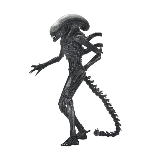 Figura Ultimate Xenomorph Alien: Romulus 18cm