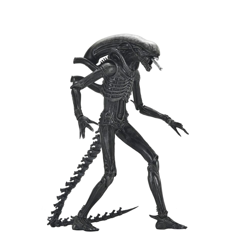 Figura Ultimate Xenomorph Alien: Romulus 18cm
