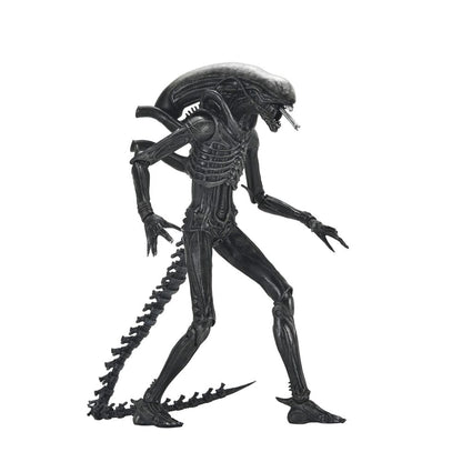 Figura Ultimate Xenomorph Alien: Romulus 18cm