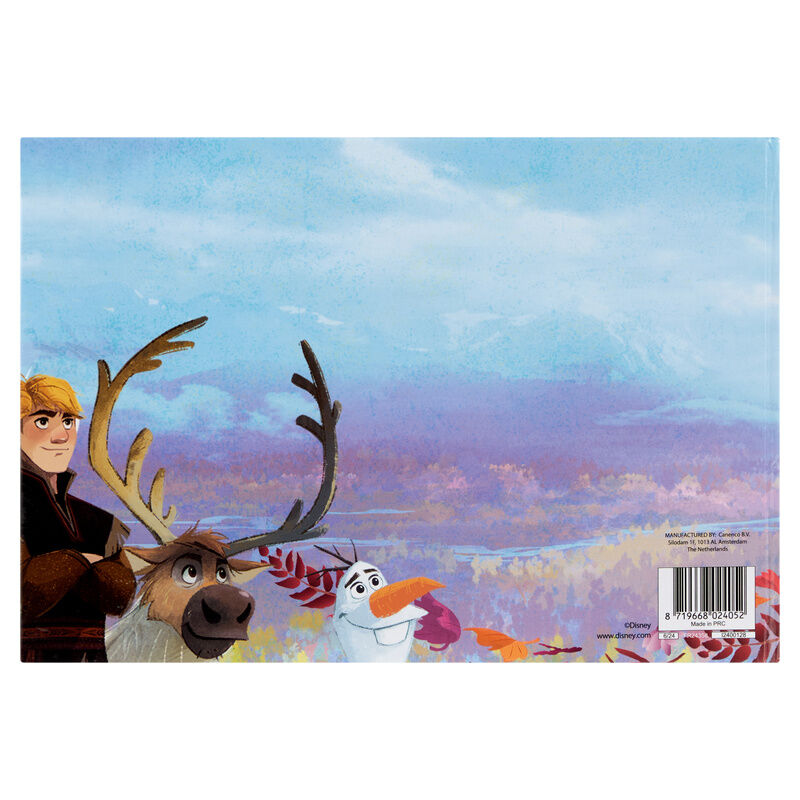 Libro magnetico + sticker Frozen Disney