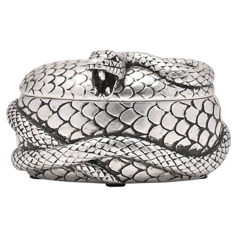Joyero Nagini Harry Potter