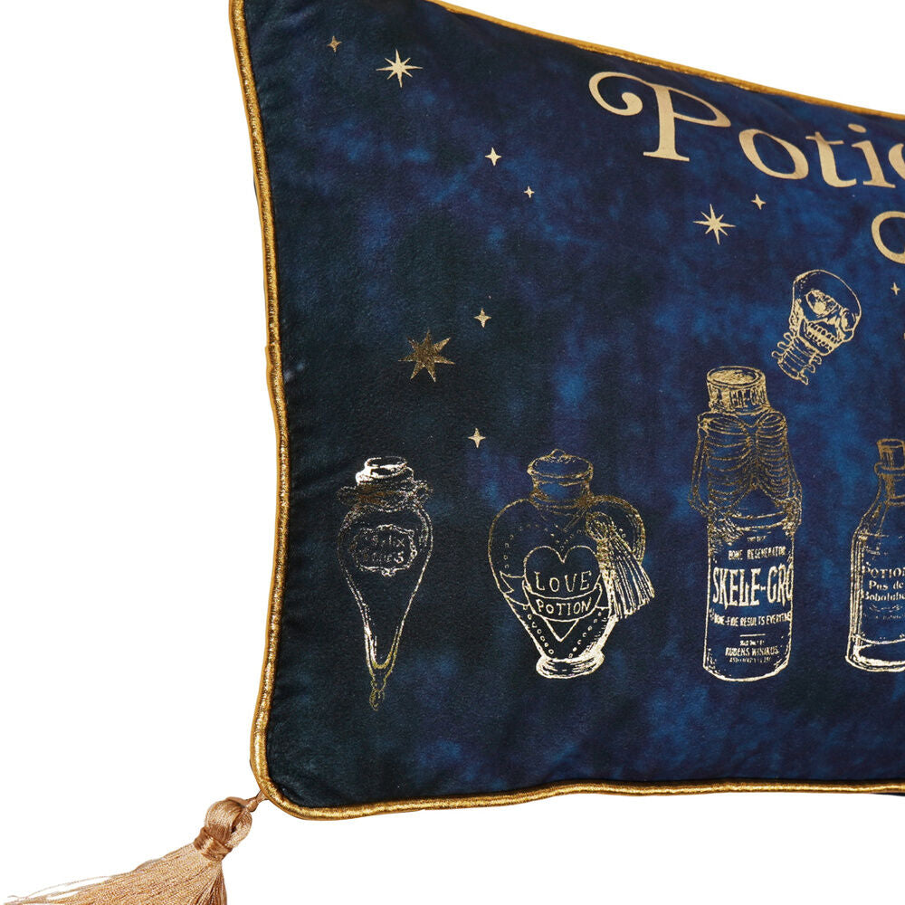 Cojin velvet Potions Class Harry Potter