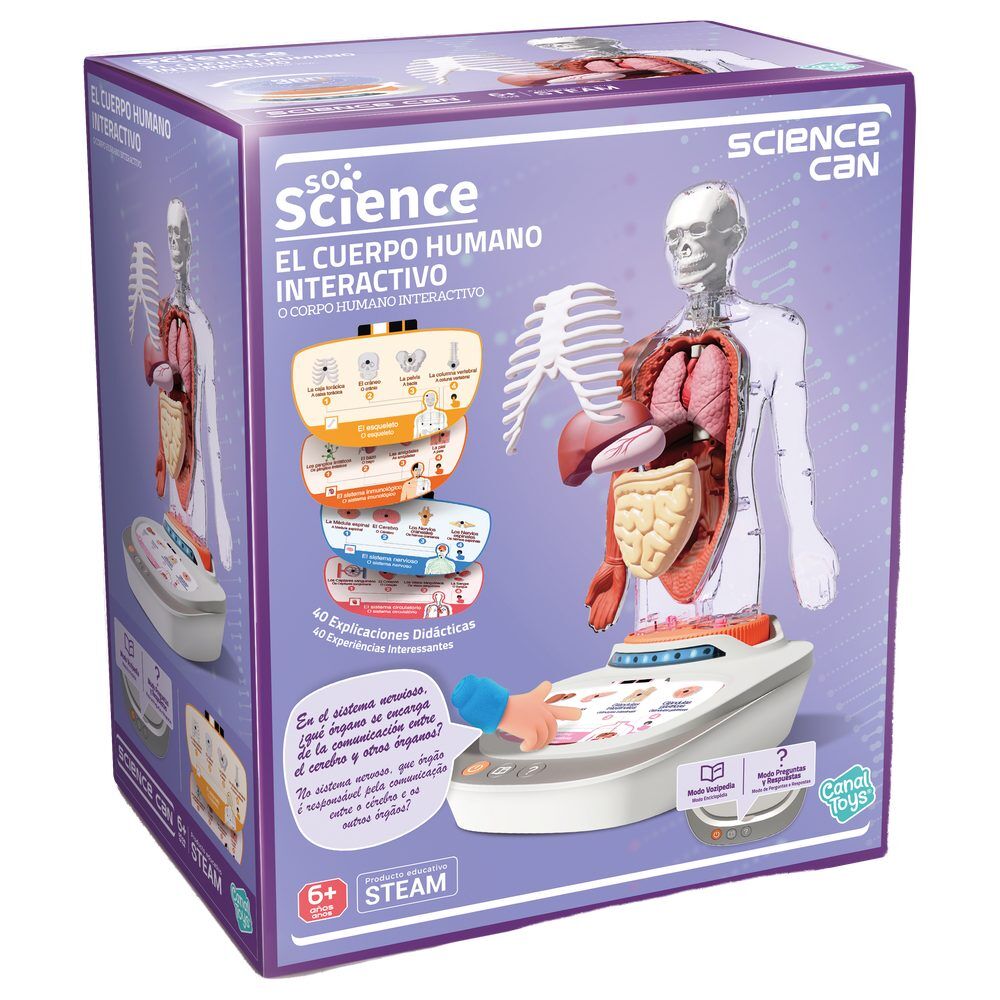 Modelo anatomico interactivo cuerpo humano Science