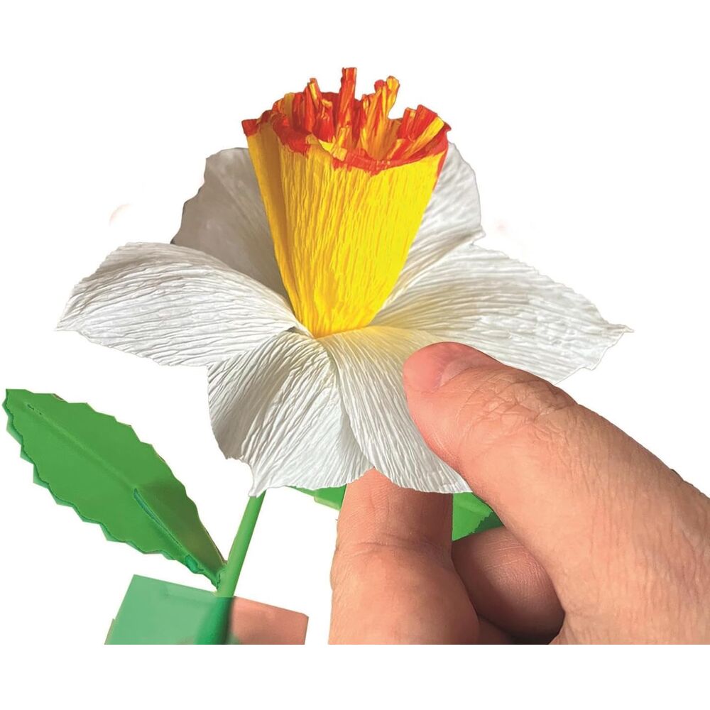 Creador flores Narciso Create your Flowers Idea