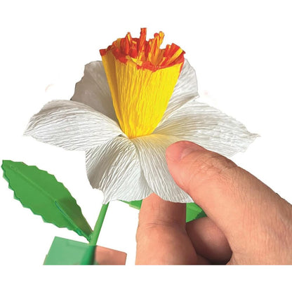 Creador flores Narciso Create your Flowers Idea